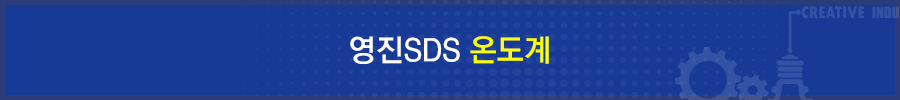 영진SDS