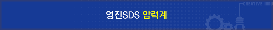 영진SDS